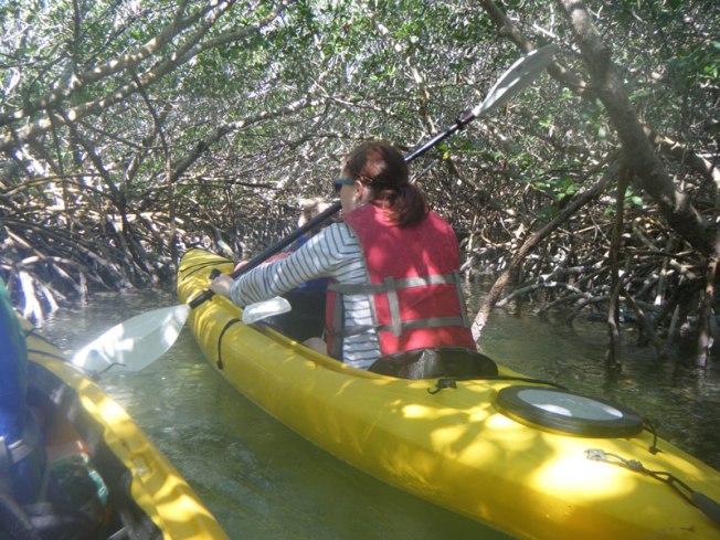 Sea Kayaking through Florida Mangroves